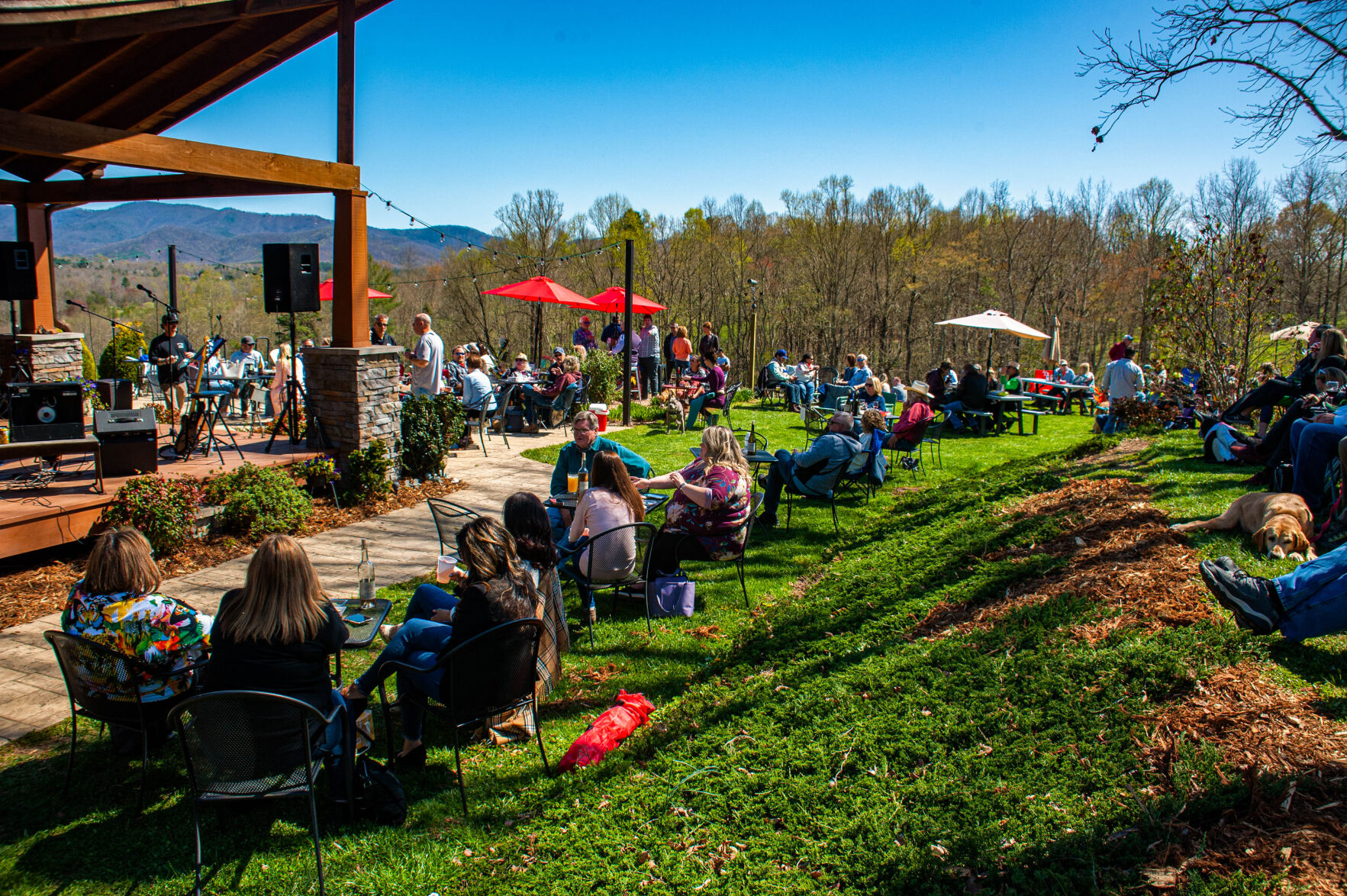 20210403-LEE_1811-Edit.jpg